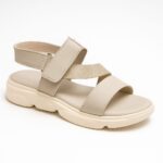 shoe (6)
